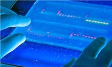 سیستم‌های ایرانی، مسیر تحلیل DNA و RNA را در آزمایشگاه‌های زیست‌شناسی هموار کردند