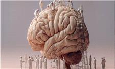 ترمیم آسیب مغزی ناشی از سکته مغزی توسط سلول‌های بنیادی