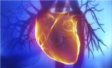 RNAهای حلقوی؛ ابزار تازه برای پیش‌بینی بیماری‌های قلبی