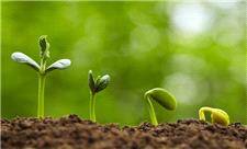 فتوسنتز رو با چشم ببین!