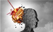 چربی شکمی به مغز آسیب می‌زند