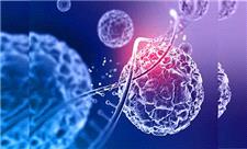 رازهای پنهان توزیع چربی بدن و ارتباط آن با خطر ابتلا به بیماری‌های سرطانی