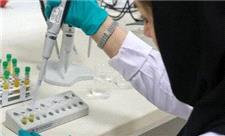 ساخت نانوکاتالیست چندکاره برای سنتز ترکیبات دارویی با خاصیت ضدسرطان