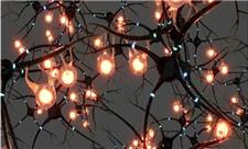 ابداع نورون جدید آزمایشگاهی که تنها با 0.1 ولت برق کار می‌کند