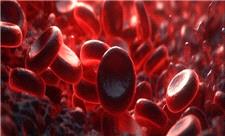 ذرات آلاینده هوا سوار گلبول‌های قرمز می‌شوند!