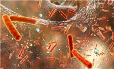 تخریب سریع آنتی‌بیوتیک فورازولیدون با نانوساختار سه‌گانه انجام شد