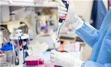 دستاورد نوین در حوزه مهندسی بافت و درمان ضایعات نخاعی