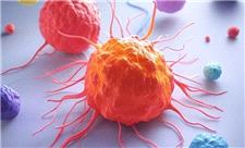 التهاب؛ کلید بروز خستگی‌ در بیماران سرطانی