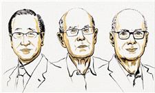 برندگان نوبل شیمی 2025 معرفی شدند