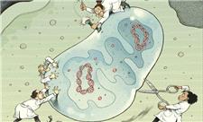 میتوکندری؛ تنها سنگر تسخیرنشده در دنیای ویرایش ژن