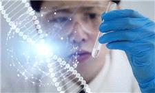 هدایت سلول‌های بنیادی برای ساخت سپرهای شخصی‌سازی‌شده