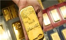 دانشمندان از سم، طلا استخراج کردند