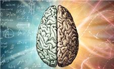 تمرینات ذهنی می‌توانند پیری مغز را تا 10 سال معکوس کنند