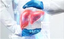 الگوریتمی نوین برای تشخیص سریع‌تر «بیماری‌های کبدی»