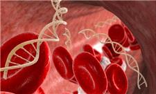 دانشمندان DNA زائد را به سلاح قاتل سرطان تبدیل می‌کنند