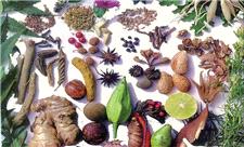 گیاهان دارویی، قاتل چربی خون بالا