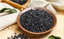 جایگاه برنج سیاه در رژیم‌های غذایی مدرن برجسته شد
