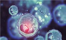 بررسی علمی و اخلاقی یک درمان جدید برای ناباروری