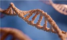 توالی‌یابی ژنوم تمام گونه‌های زنده روی زمین با هوش مصنوعی