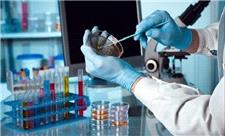 نام 2772 پژوهشگر ایرانی در میان دو درصد برترین‌های جهان در سال 2025