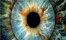 تشخیص زودهنگام «آب‌سیاه» ممکن شد