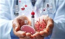 پژوهشگاه رویان دستاورد جدید سلول درمانی دیابت را به فاز بالینی نزدیک می‌کند