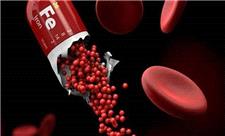 کم‌خونی مادران، عامل پنهان کاهش وزن نوزادان