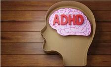 کشف 3 ژن که احتمال ADHD را تا 15 برابر افزایش می‌دهند