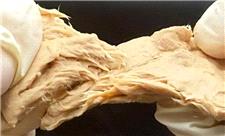 قارچی که انتشار گازهای گلخانه‌ای را کاهش می‌دهد و طعم گوشت دارد