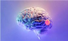 طراحی دارویی به صورت قطره بینی برای حذف تومورهای مغزی