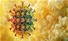 مقاومت آنفلوانزای پرندگان در برابر تب، دانشمندان را نگران کرد