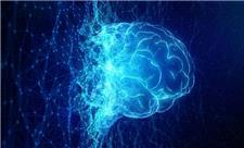 استفاده از هوش مصنوعی دانش ما را کاهش می‌دهد!