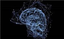 مداری پنهان در مغز دید بصری ما را بازنویسی می‌کند