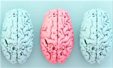 ارتباط شگفت‌انگیز میان یک ماده مغذی کلیدی، چاقی و خطر آلزایمر