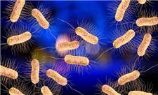 باکتری‌ها هم نساج شدند و هم رنگرز!