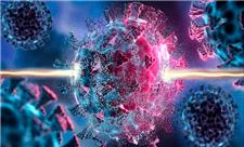 دردسر اجتماعی شدن ویروس برای داروهای ضد ویروسی