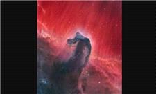 عکس روز ناسا از «سحابی سر اسب»