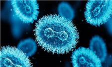 هوش مصنوعی پاشنه آشیل آبله میمونی را پیدا کرد