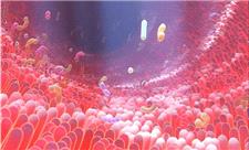 ماده مغذی رایجی که روده‌های ما را به کارخانه‌های شیمیایی مبارزه با دیابت تبدیل می‌کند