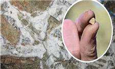 کشف ذخایر طلای اعماق زمین با ایزوتوپ هلیوم