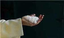 تبدیل پر مرغ به پارچه نفیس کشمیر