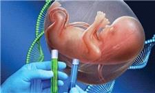 جلوگیری از ناتوانی ذهنی و ناشنوایی با «مشاوره ژنتیک»