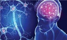 شیوه متفاوت ابتلای مردان و زنان به «بیماری‌های عصبی»