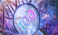 به ارث بردن دی‌ان‌ای نیاکان، راز صدساله شدن نوادگان