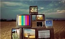 تغییر فعالیت امواج مغزی هنگام مشاهده «تبلیغات احساسی»