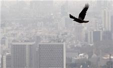 وقتی یخ، هوا و آلودگی دست‌به‌دست هم می‌دهند