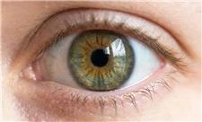 خاموش‌کردن موقت بینایی؛ رویکردی نویدبخش برای درمان تنبلی چشم در بزرگسالان