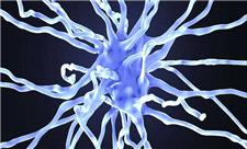 دارویی که آلزایمر را متوقف کرد