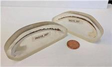 قدیمی‌ترین جانور منفرد دنیا 507 سال عمر کرده بود؛ تا آنکه پژوهشگران به اشتباه آن را کشتند