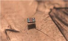 انقلاب در مقیاس میکرو: کوچکترین ربات مستقل دنیا به اندازه دو تار مو عرض دارد
